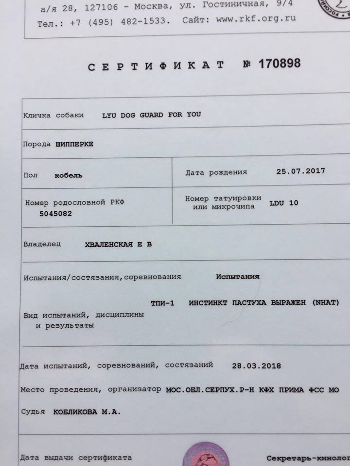 сертификат гризли шипперке