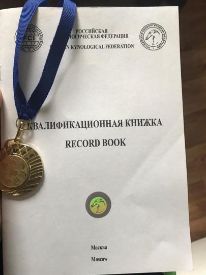 питомник шипперке москва
