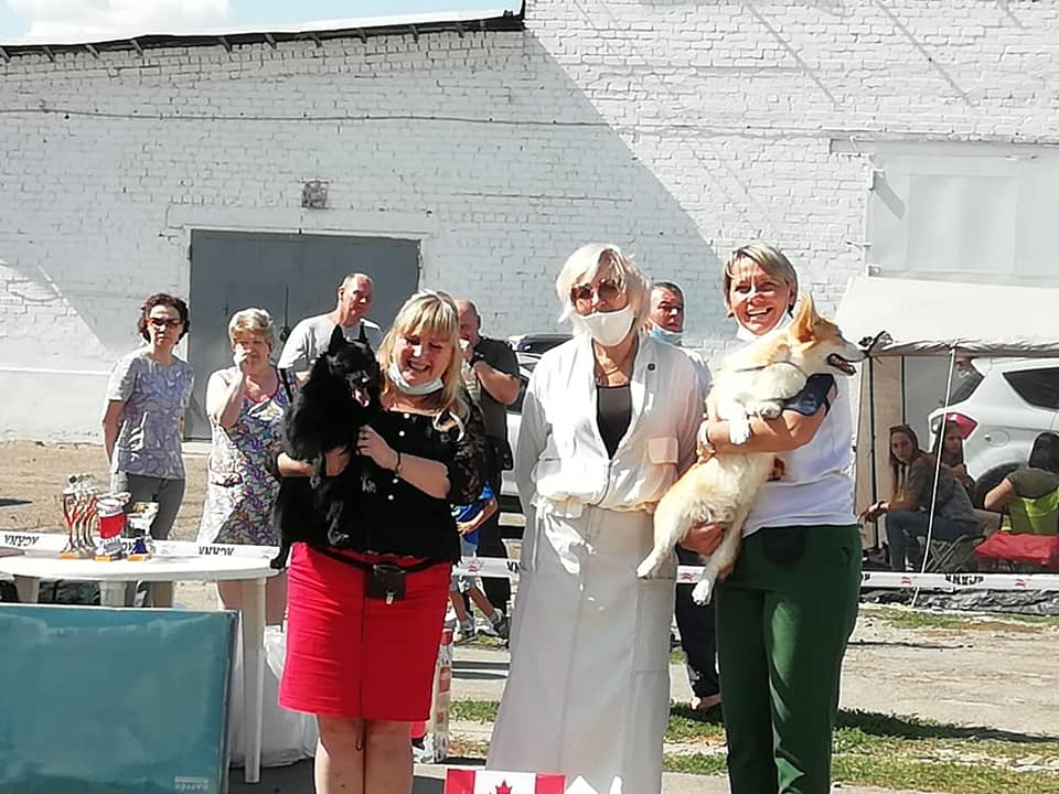 выставки шипперке осо де миель - награды щенки шипперке
