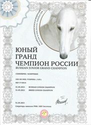 Достижения шипперок нашего питомника