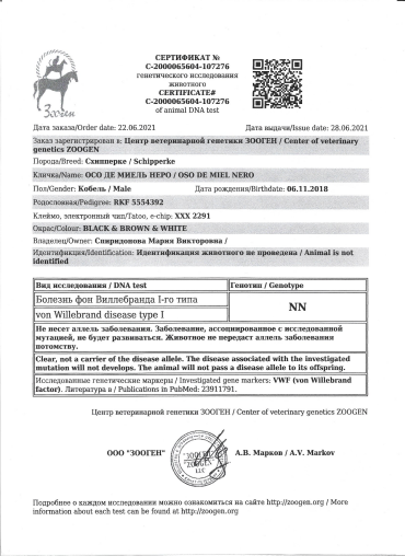 тесты шипперок