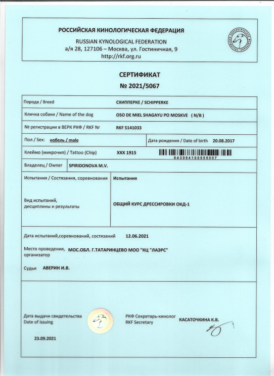 Новости шипперке