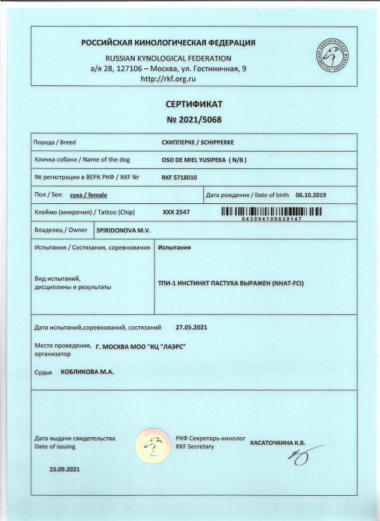 Новости шипперке