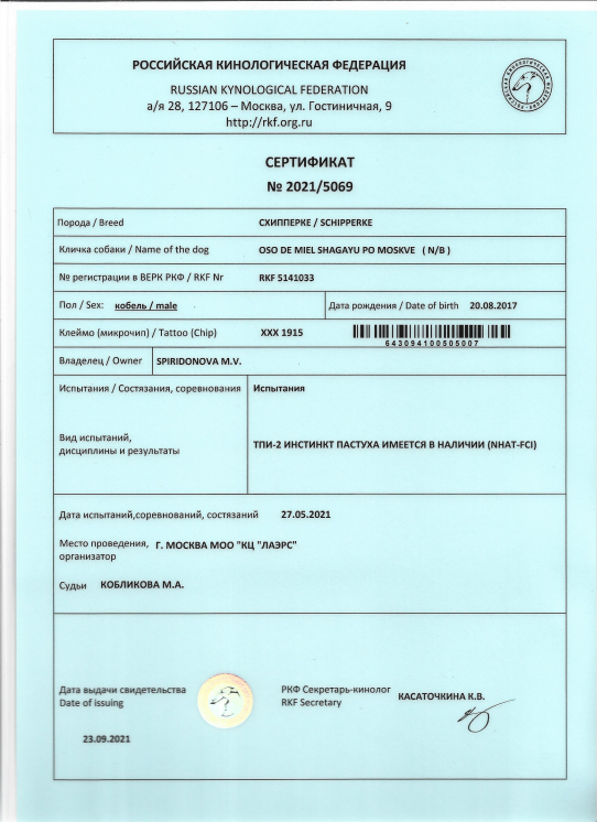 Новости шипперке