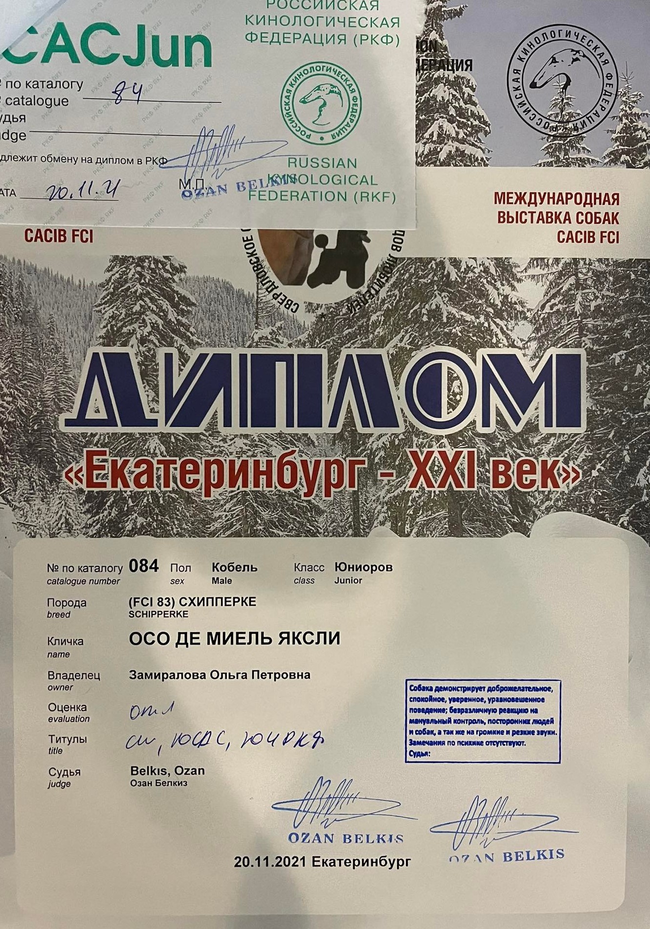 Новости шипперке осо де миель поздравляем нашего Чемпиона с очередными титулами