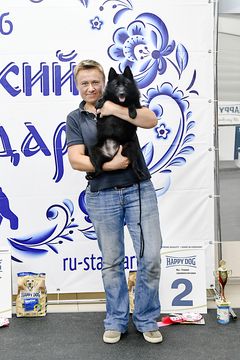 Суки  шипперке