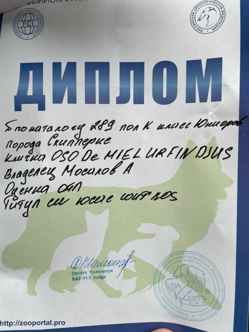 У нас в питомнике Осо де Миель новый Чемпион!