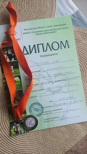 Новости породы шипперке